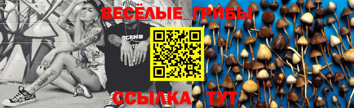 Псилоцибиновые грибы Magic Shrooms Полевской