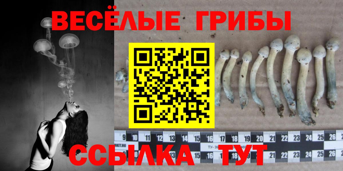Полевской  Галлюциногенные грибы Psilocybine cubensis  Галлюциногенные грибы MAGIC MUSHROOMS  Вход с VPN 