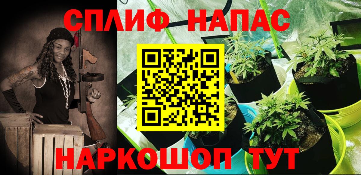 Марихуана Amnesia  Бошки марихуана план  Вход с VPN  Канабис сатива  Полевской 